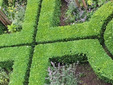 Buxus%20knippen%20en%20snoeien%20apeldoorn%20hovenier