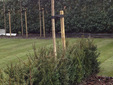 Onderhoud%20gazon%20en%20gras%20hovenier%20apeldoorn